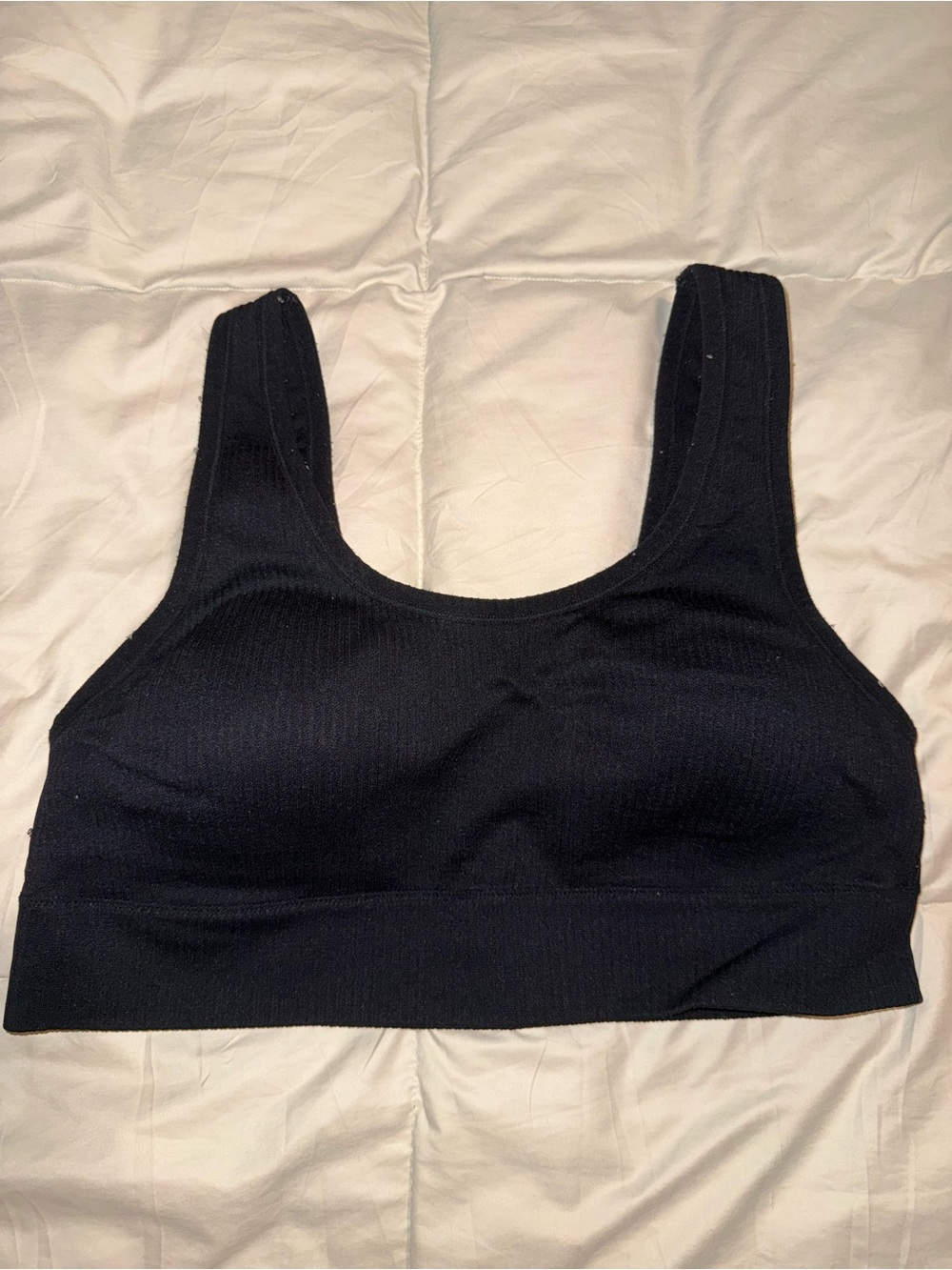 torrid Black Seamless Scoop Sports Bra